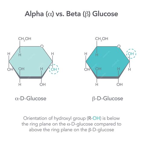 Premium Vector | Alpha versus Beta Glucose chemistry vector ...