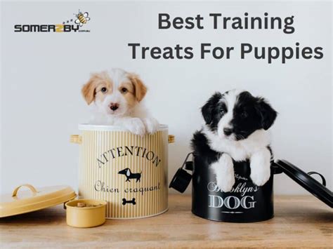 So What Are The Best Training Treats For Puppies