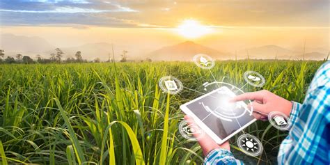 O Agro É Tech ConheÇa O AvanÇo Do AgronegÓcio AtravÉs De Tecnologias