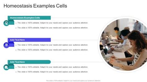 Homeostasis Examples Cells PowerPoint templates, Slides and Graphics