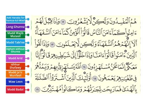 Tajweed Activity Labelled Diagram