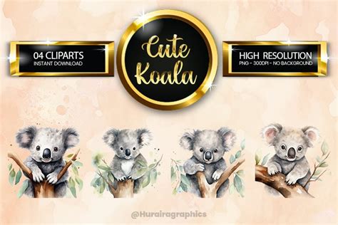 Koala Clipart 04 variations (3494332)