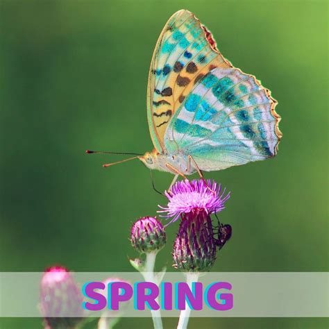 My Favorite Spring Pins Spring Inspiration Spring Diy Crafts