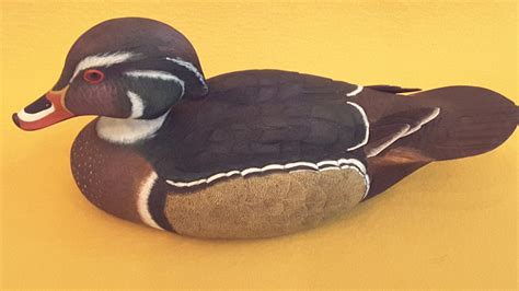 Drake Wood Duck Etsy