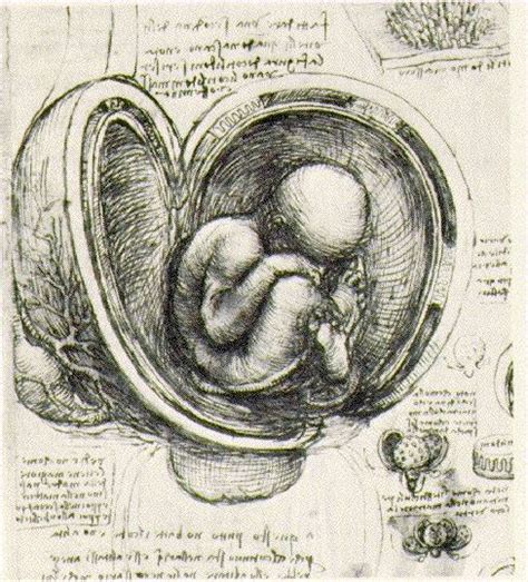 WebMuseum: Leonardo da Vinci: From Sketches to Paintings