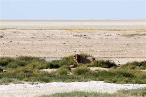 Qué visitar ver y hacer en un viaje a Namibia ANDORREANDO POR EL