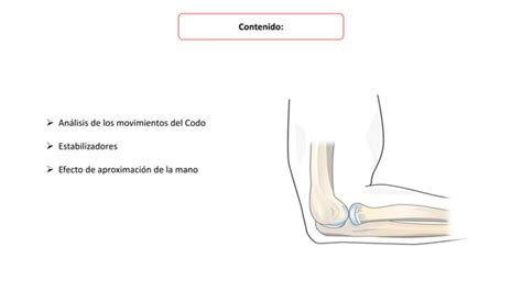 Biomecanica Del Codo Y Sus Estabilizadores PPT