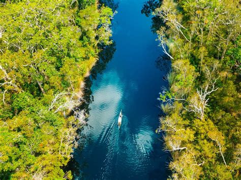 Explore The Noosa Everglades By Canoe Fraser Tours