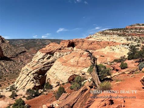 Cassidy Arch Utah Hiking Beauty