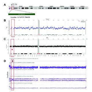 Non Invasive Prenatal Screening Nips Cnv Sequencing Cnv Seq And