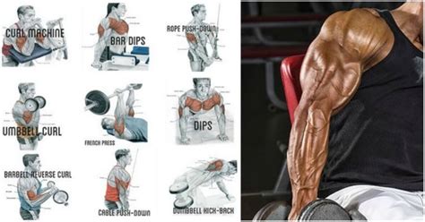 6 Exercises In 2 Supersets For Bigger And Stronger Triceps And Biceps