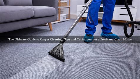 The Ultimate Guide to Carpet Cleaning: Tips and Techniques for a Fresh ...