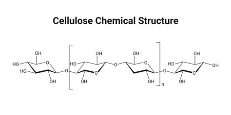 Cellulose Chemical Structure | BioRender Science Templates