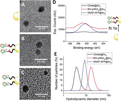 Nanoparticle Characterization A C Transmission Electron Micrographs