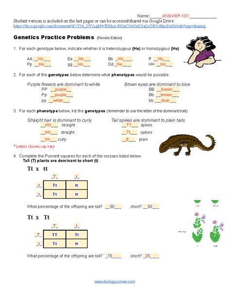 Simple Genetics Practice Remote Edition Key Name Answer Key