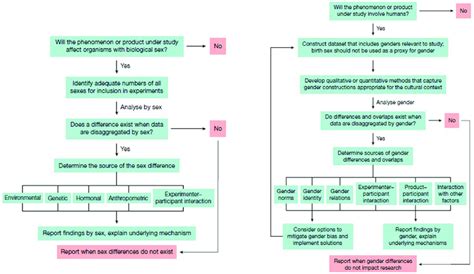 Decision Tree For Analyzing And Reporting Sex And Gender From