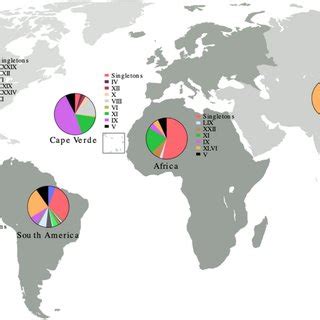 Global map showing the distribution of the Aedes aegypti mitochondrial... | Download Scientific ...