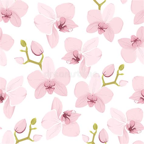 Pink Purple Tender Orchid Floral Seamless Pattern Stock Vector