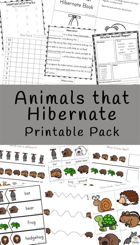 Animal Hibernation Worksheets Animal Hibernation Worksheets