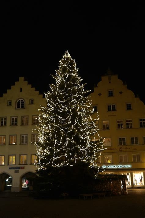 Weihnachtsbaum Lichterkette Baum Kostenloses Foto Auf Pixabay Pixabay