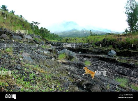 Philippines. 18th Jan, 2018. The lava flow pathway from Mt. Mayon ...