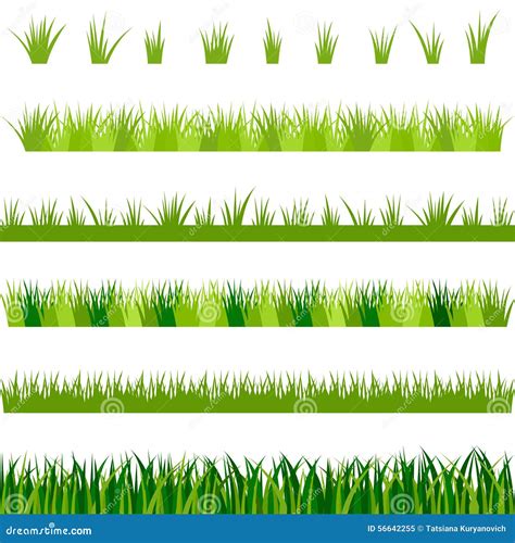 Collection Of Green Grass Illustration Stock Vector Illustration Of Seedling Background