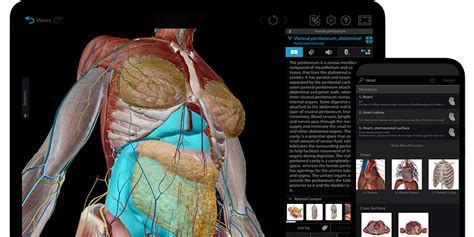 Today S Android Game And App Deals Human Anatomy Atlas More