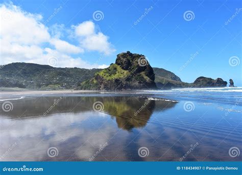 Piha Beach in New Zealand stock image. Image of text - 118434907