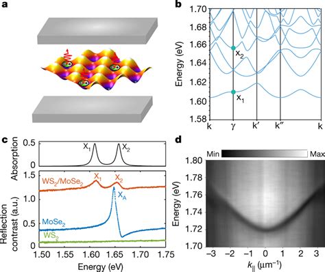 Moiré Polariton System And The Constituent Moiré Excitons And