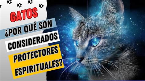 Por qué los gatos son considerados protectores espirituales YouTube