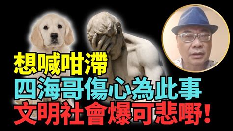 【精彩】沈四海： 見到好慘！四海哥傷心為何事？ 文明社會可悲嘢！ 想生仔 邊個在意2萬呀！ Lucy連線 Youtube