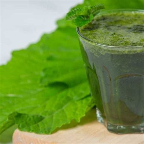 8 Receitas De Suco De Couve Com Melão Para Emagrecer Mundoboaforma