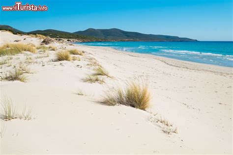 Spiaggia Le Dune A Porto Pino Comune Di Sant Anna Foto Sant Anna