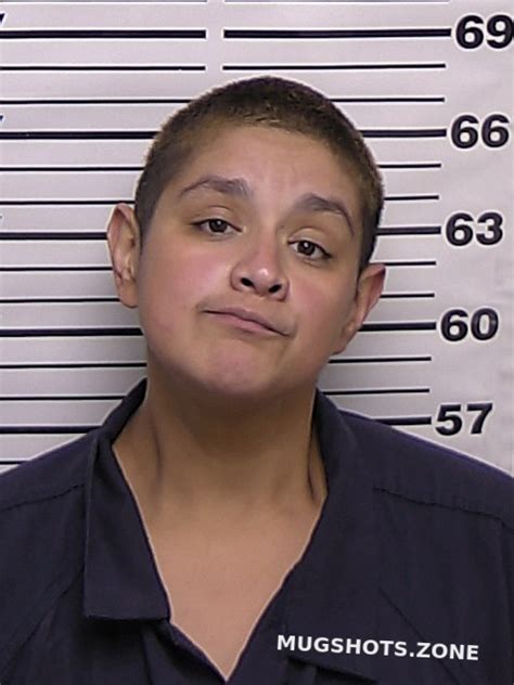 Castillo Cheyanne Maria Eddy County Mugshots Zone