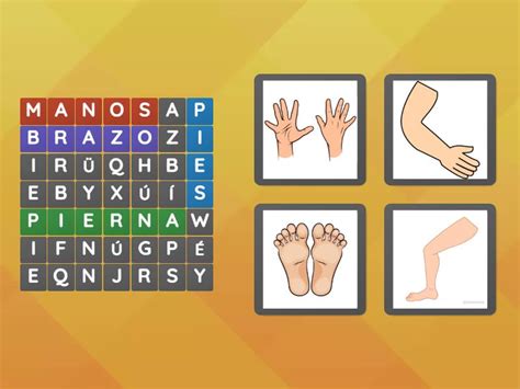 Sopa De Letras Partes Del Cuerpo Wordsearch