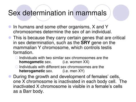 Ppt Sex Linkage And Pedigrees Powerpoint Presentation Id6783856