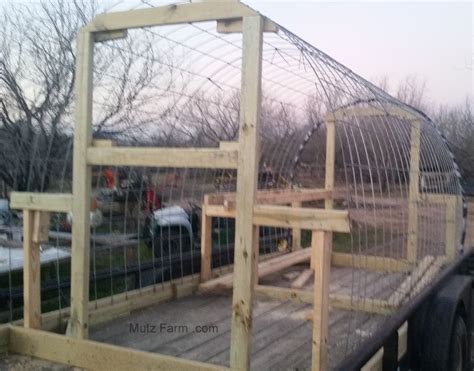 Ultimate Cattle Panel Greenhouse