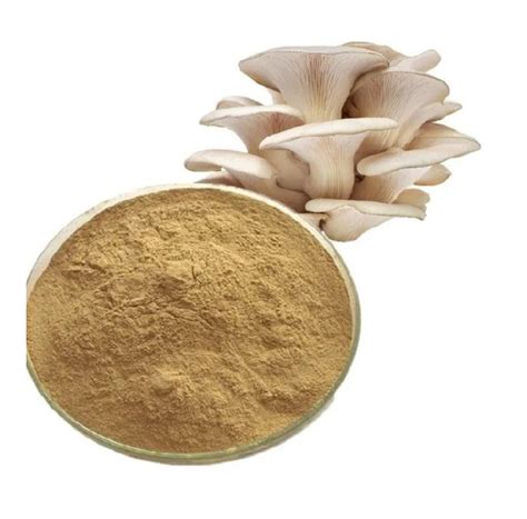 Organic Oyster Mushroom Pleurotus Ostreatus Extract Powder G