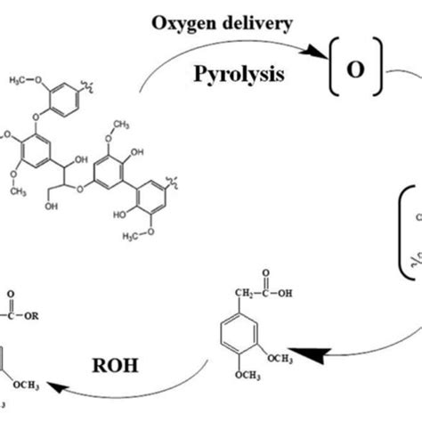 A Simplified Reaction Network For The Alkylation Of Phenol With