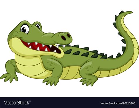 Cartoon Crocodile Isolated On White Background Vector Image