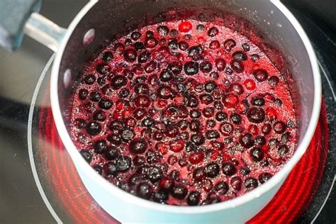 Wild Homemade Huckleberry Jam Recipe Without Pectin On Stove