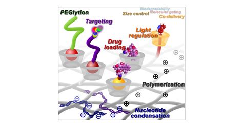 Cyclodextrin Based Hostguest Supramolecular Nanoparticles For Delivery