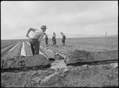 File:Tule Lake Relocation Center, Newell, California. Evacuee farm ...