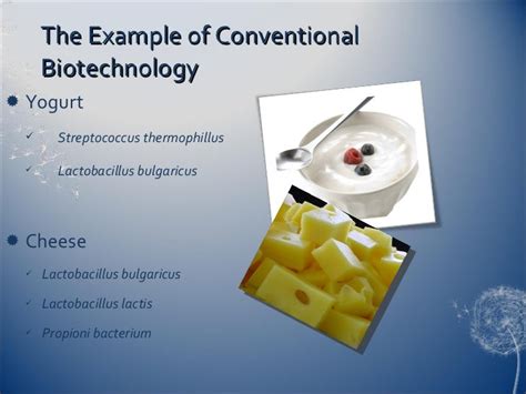 Conventional And Modern Biotechnology