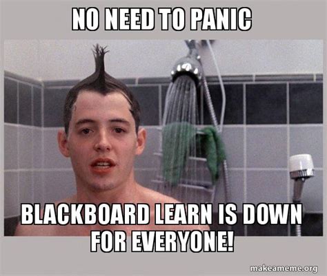 No Need To Panic Blackboard Learn Is Down For Everyone Shower