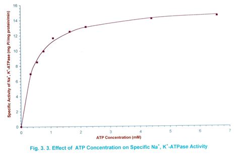 3 Effect Of ATP Concentration On Specific Na K ATPase Activity