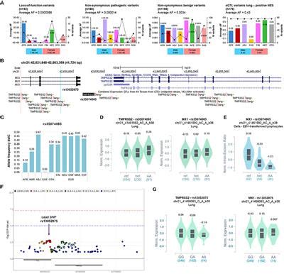 Frontiers Genetic Analysis Of The Coronavirus SARS CoV 2 Host