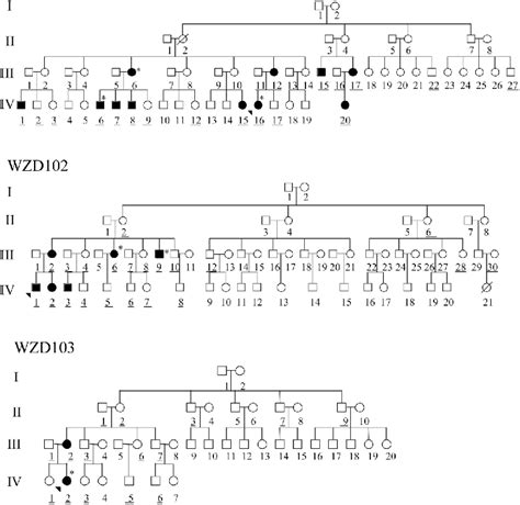 Figure 1 From Maternally Inherited Aminoglycoside Induced And