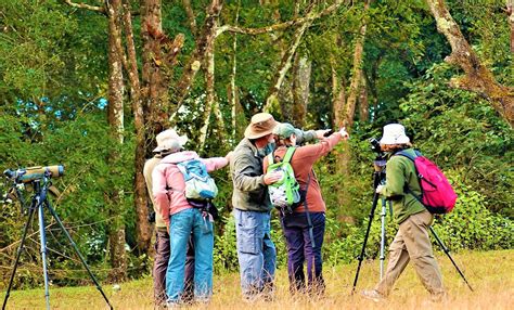 Welcome to Nepal Birding Holidays