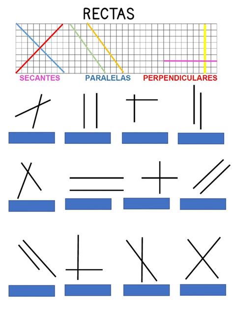 Rectas Exercise For 5 Grado Primaria Studying Math Montessori Math